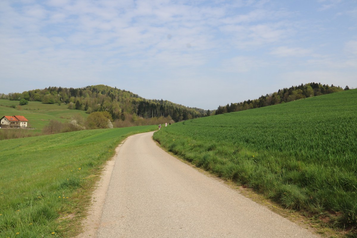 {"rendered":"Magdalenska gora in Zacurek"}