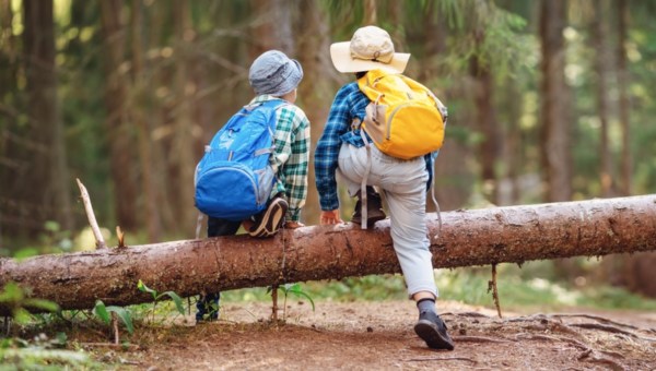boys climbing