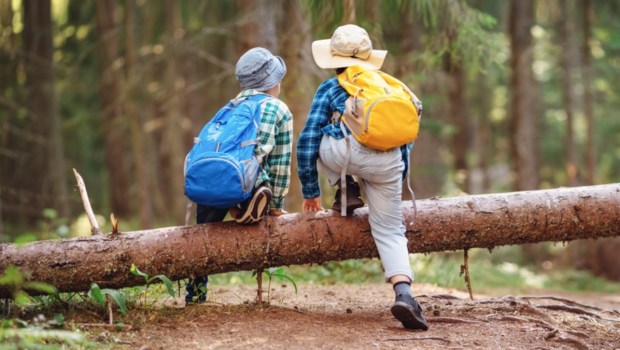 boys climbing