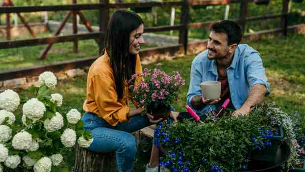 couple gardening