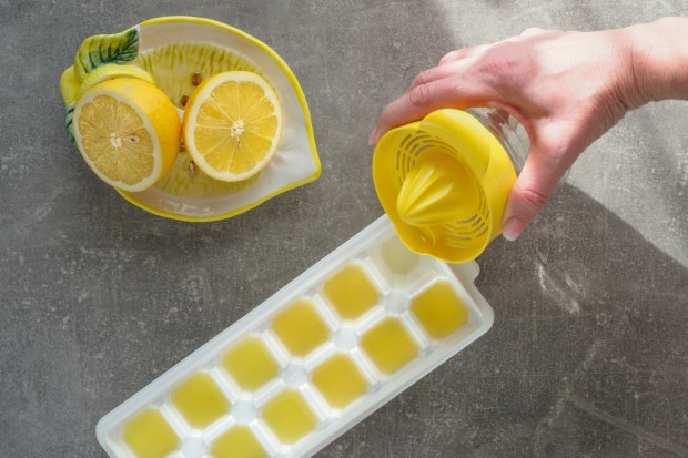 Homemade lemon ice cubes