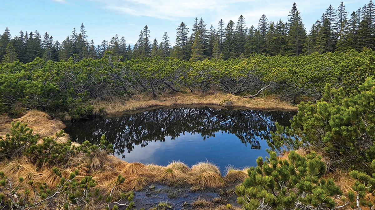 pohorje